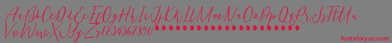 KentuckyFree Font – Red Fonts on Gray Background