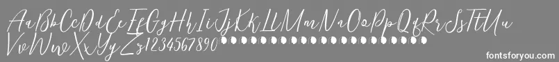 KentuckyFree Font – White Fonts on Gray Background