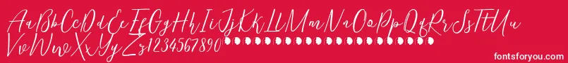 KentuckyFree Font – White Fonts on Red Background