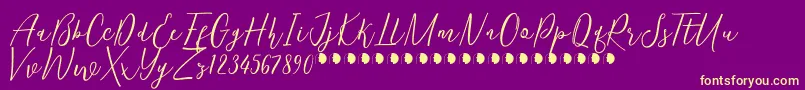 KentuckyFree Font – Yellow Fonts on Purple Background