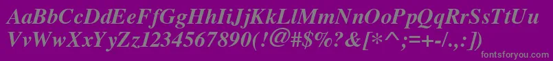 Cyrillictimes Bolditalic Font – Gray Fonts on Purple Background