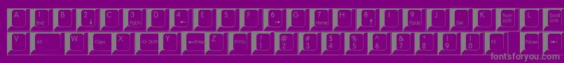 Spslkeys Font – Gray Fonts on Purple Background