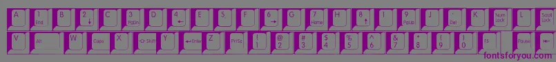 Spslkeys-fontti – violetit fontit harmaalla taustalla
