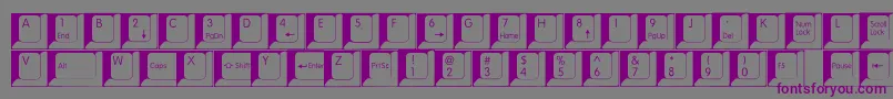 Fonte Spslkeys – fontes roxas em um fundo cinza