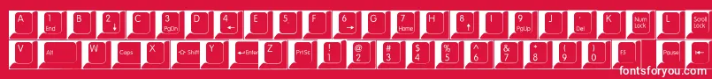 Spslkeys Font – White Fonts on Red Background