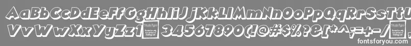 AngellaOutlineItalicDemo Font – White Fonts on Gray Background