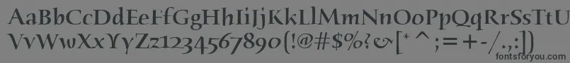 フォントHumanaSerifItcMedium – 黒い文字の灰色の背景