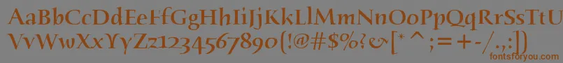 フォントHumanaSerifItcMedium – 茶色の文字が灰色の背景にあります。