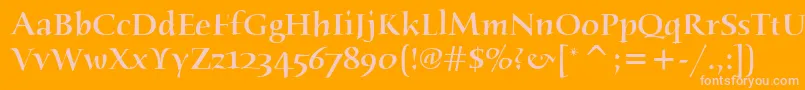 HumanaSerifItcMedium-Schriftart – Rosa Schriften auf orangefarbenem Hintergrund