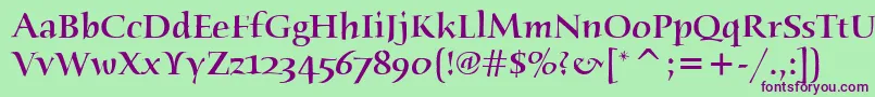 HumanaSerifItcMedium Font – Purple Fonts on Green Background