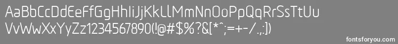 フォントTadaoRegular – 灰色の背景に白い文字