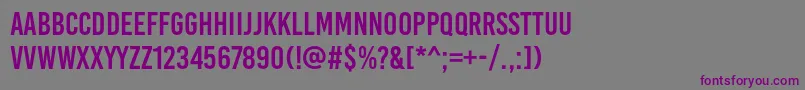 BaseoneRegular Font – Purple Fonts on Gray Background