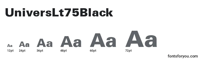UniversLt75Black Font Sizes