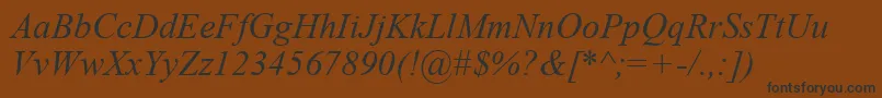 Шрифт TimesNewRomanKoi8Italic – чёрные шрифты на коричневом фоне