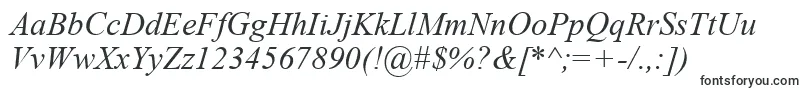 TimesNewRomanKoi8Italic Font – Cash Register Fonts