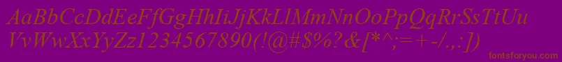 TimesNewRomanKoi8Italic-Schriftart – Braune Schriften auf violettem Hintergrund