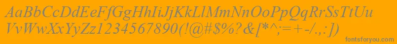 TimesNewRomanKoi8Italic Font – Gray Fonts on Orange Background