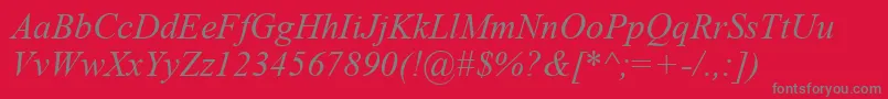TimesNewRomanKoi8Italic Font – Gray Fonts on Red Background