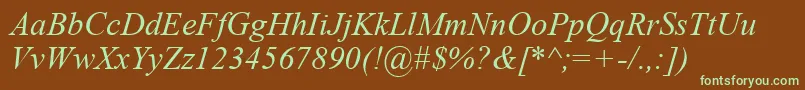 TimesNewRomanKoi8Italic Font – Green Fonts on Brown Background