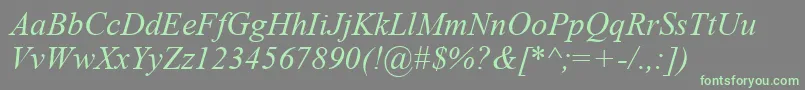 TimesNewRomanKoi8Italic-Schriftart – Grüne Schriften auf grauem Hintergrund