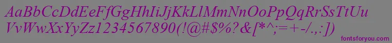 TimesNewRomanKoi8Italic Font – Purple Fonts on Gray Background