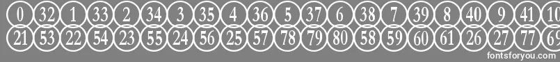 NumberpilereversedRegular Font – White Fonts on Gray Background