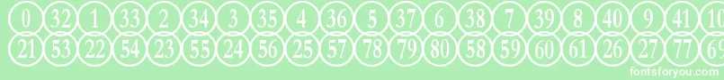 NumberpilereversedRegular Font – White Fonts on Green Background