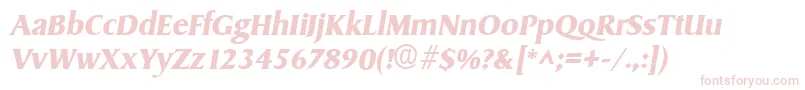 SydneyBoldItalic Font – Pink Fonts on White Background