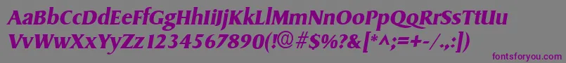 SydneyBoldItalic Font – Purple Fonts on Gray Background