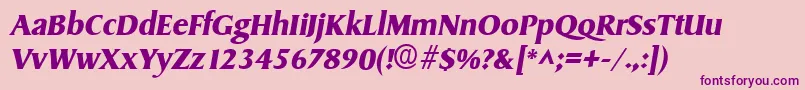 SydneyBoldItalic Font – Purple Fonts on Pink Background