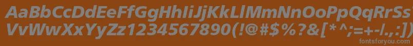 AgforeignercBolditalic-fontti – harmaat kirjasimet ruskealla taustalla