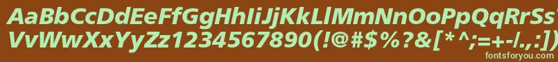 AgforeignercBolditalic-fontti – vihreät fontit ruskealla taustalla