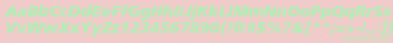 AgforeignercBolditalic Font – Green Fonts on Pink Background