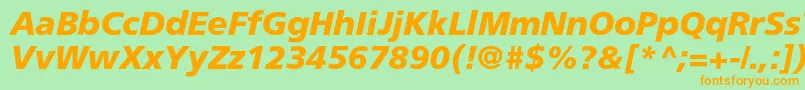 AgforeignercBolditalic Font – Orange Fonts on Green Background