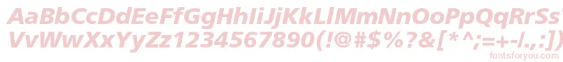 AgforeignercBolditalic Font – Pink Fonts on White Background