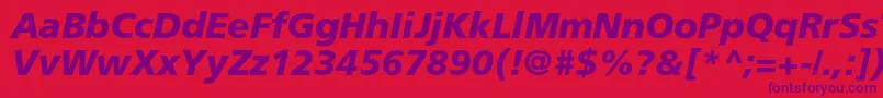 AgforeignercBolditalic Font – Purple Fonts on Red Background