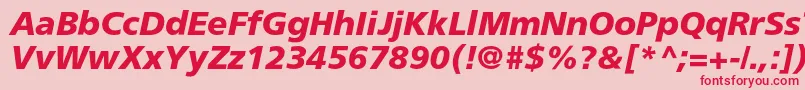 AgforeignercBolditalic Font – Red Fonts on Pink Background