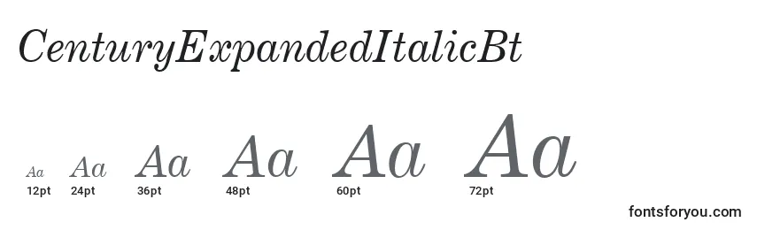 CenturyExpandedItalicBt Font Sizes