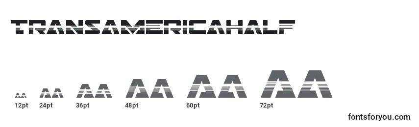 Размеры шрифта Transamericahalf
