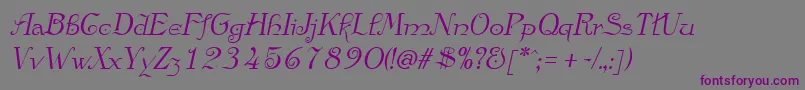 AnglicanItalic Font – Purple Fonts on Gray Background