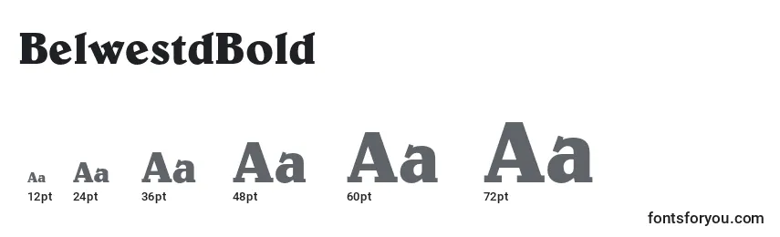BelwestdBold Font Sizes