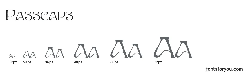Passcaps Font Sizes