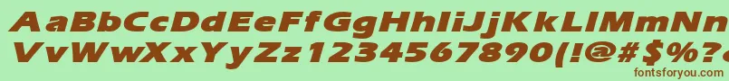 ErgoemildblackexpandedItalic Font – Brown Fonts on Green Background