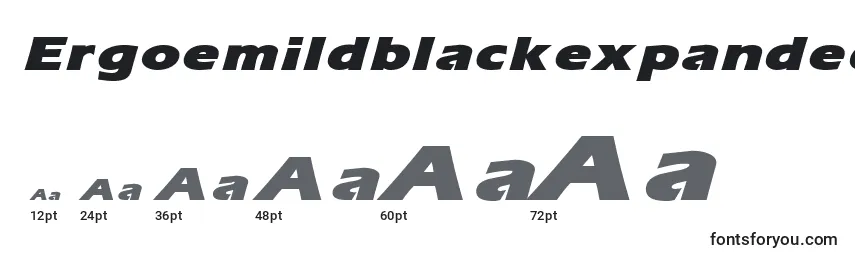 ErgoemildblackexpandedItalic Font Sizes