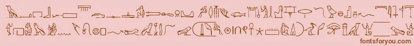 PharaohglyphMedium Font – Brown Fonts on Pink Background