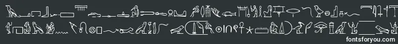 PharaohglyphMedium-fontti – valkoiset fontit mustalla taustalla