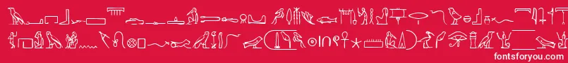 フォントPharaohglyphMedium – 赤い背景に白い文字