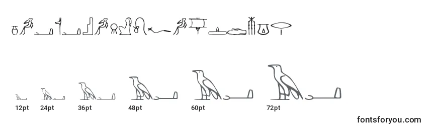 Tamanhos de fonte PharaohglyphMedium