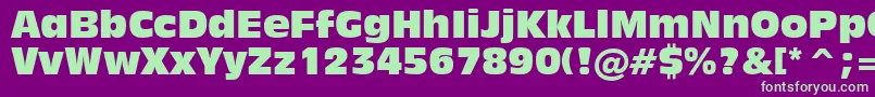 Inc901c Font – Green Fonts on Purple Background