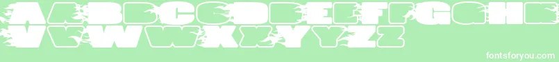 JumboBurnA Font – White Fonts on Green Background